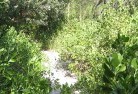 Wattle Creeksustainable-landscaping-16.jpg; ?>